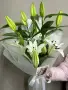 Всегда в моих мыслях